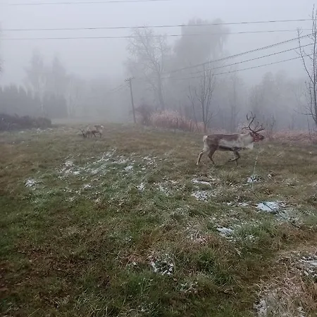 Turystyczny Stara Gaweda Oda ve Kahvaltı Czechowka